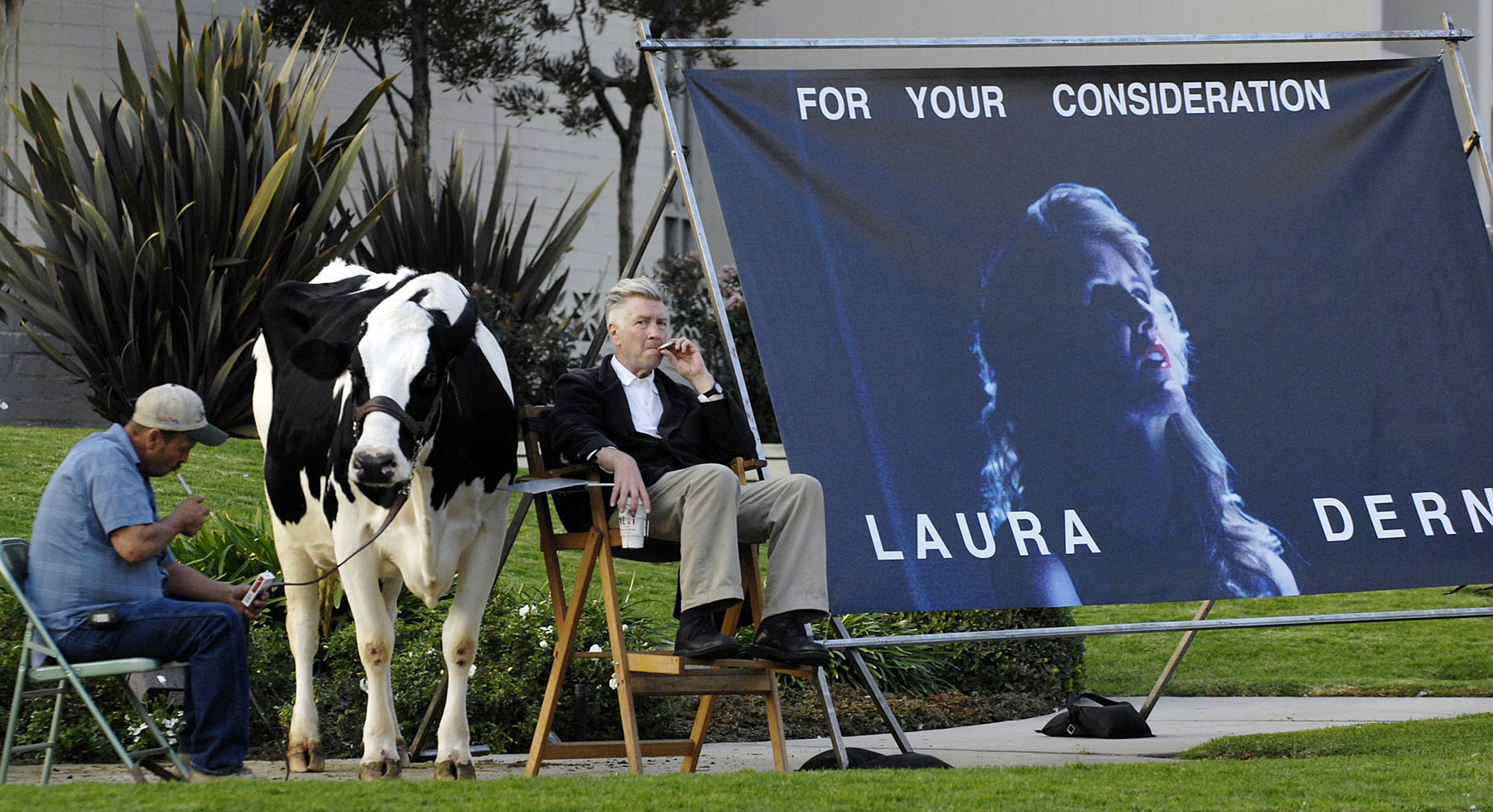 David Lynch Cow